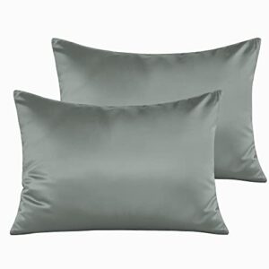 ntbay 2 pack satin zippered toddler pillowcases, super soft luxury and silky baby travel pillow covers, 13x18 inches, dark grey