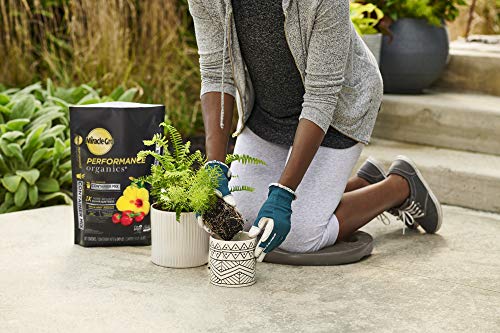 Miracle-Gro Performance Organics All Purpose Container Mix, 6 qt. - Organic, All Natural Plant Soil - Feed for up to 3 Months - All-Purpose Formula for Vegetables, Flowers and Herbs