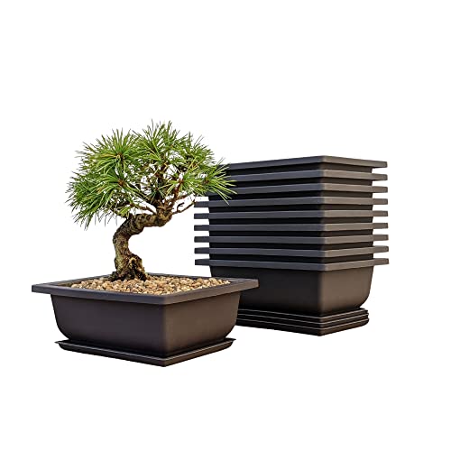 Bonsai Training Pots Humidity Trays - Built in Mesh, 6-Inch Large Planters + Made from Durable Shatter Proof Poly-Resin, 9-Pack Pot Set