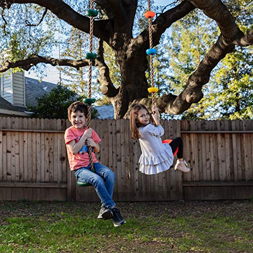 LAEGENDARY Tree Swing for Kids - Single Disk Outdoor Climbing Rope w/Platforms, Carabiner & 4 Ft Tree Strap - Playground Accessories - Multicolored