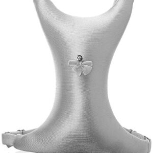 Intimia Breast Pillow Chest Wrinkles Prevention and Breast Support (Silver)