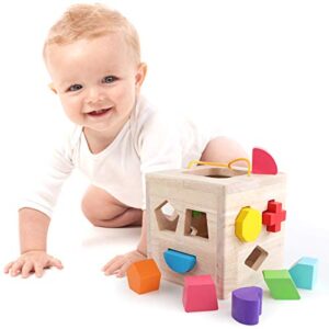 GEMEM Shape Sorter Toy My First Wooden 12 Building Blocks Geometry Learning Matching Sorting Gifts Didactic Classic Toys for Toddlers Baby Kids 2 3 Years Old