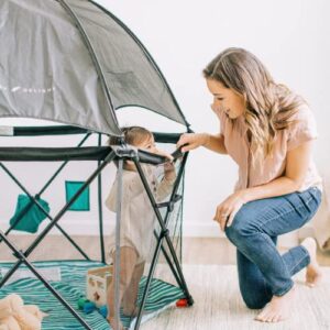 Baby Delight Go With Me Eclipse Mesh Portable Playard | Playpen | Sun Canopy | Indoor and Outdoor | Watercolor Stripe Base