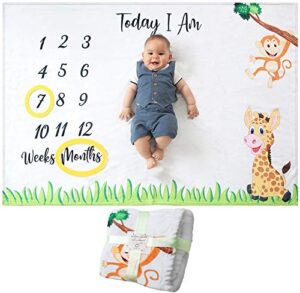 baby monthly milestone blanket | for newborn boy or girl, unisex | month blanket baby for pictures | jungle safari, giraffe & monkey theme | personalized shower gifts new moms | track age & growth