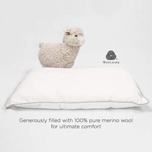 Woolino Premium Wool Toddler Pillow, All Natural Breathable 100% Wool Fill and Cotton Cover - Baby, Kids and Travel Size, 14 x19