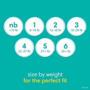 Diapers Size 1, 204 count - Pampers Baby Dry Disposable Diapers