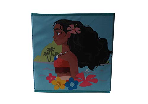 Disney Moana Storage Cube Multi