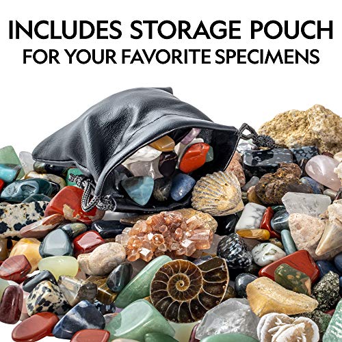 NATIONAL GEOGRAPHIC Rock Collection Box for Kids – 200+ Piece Gemstones and Crystals Set Includes Geodes & Real Fossils, Rocks & Minerals Science Kit, Geology Gift for Boys & Girls (Amazon Exclusive)