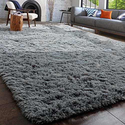 PAGISOFE Fluffy Shaggy Area Rug, Rugs for Bedroom 3x5, Soft Fuzzy Rugs for Girls Boys Bedroom, Kids Room, Furry Throw Rugs for Dorm, Shag Carpet for Nursery Decor, Small Bedside Rug, Grey