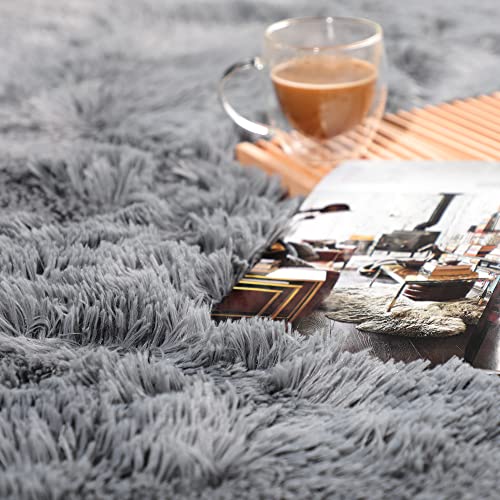 PAGISOFE Fluffy Shaggy Area Rug, Rugs for Bedroom 3x5, Soft Fuzzy Rugs for Girls Boys Bedroom, Kids Room, Furry Throw Rugs for Dorm, Shag Carpet for Nursery Decor, Small Bedside Rug, Grey