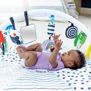 Sassy Stages STEM Developmental Play Gym, Sensory Tummy Time Activity Play Mat w/Built-in Instructions, Ultra Plush & Machine Washable Playmat for Babies & Toddlers