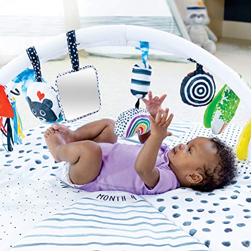 Sassy Stages STEM Developmental Play Gym, Sensory Tummy Time Activity Play Mat w/Built-in Instructions, Ultra Plush & Machine Washable Playmat for Babies & Toddlers