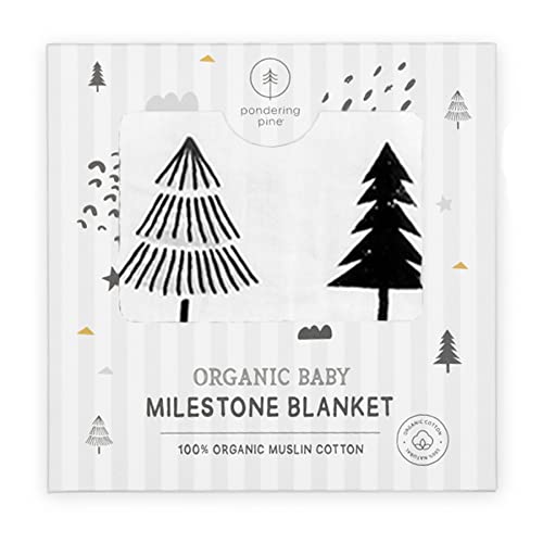 Pondering Pine Organic Baby Monthly Milestone Blanket Boy - Baby Bear Blanket Months with Frame and Newborn Announcement Disc - Baby Boy Age Blanket for 1-12 Month Milestones, 47”x47”