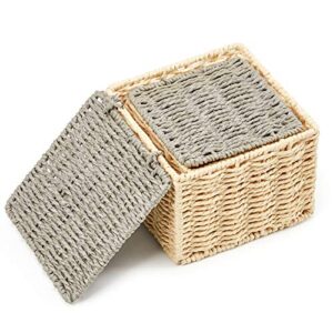 EZOWare Pack of 4 Paper Rope Wicker Storage Baskets with Lid, Lidded Woven Braided Organizer Cube Bins Boxes for Baby Kids Toy Nursery Room Home Closet - Beige and Gray