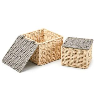 EZOWare Pack of 4 Paper Rope Wicker Storage Baskets with Lid, Lidded Woven Braided Organizer Cube Bins Boxes for Baby Kids Toy Nursery Room Home Closet - Beige and Gray