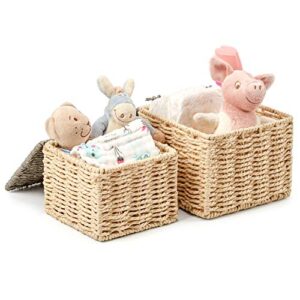 EZOWare Pack of 4 Paper Rope Wicker Storage Baskets with Lid, Lidded Woven Braided Organizer Cube Bins Boxes for Baby Kids Toy Nursery Room Home Closet - Beige and Gray