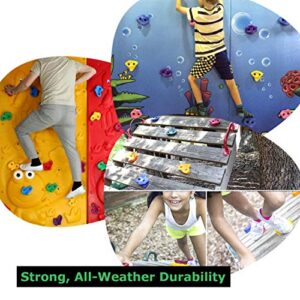 SSBRIGHT Sets of 25 Multi-Colored Kids&Adults Large Rock Climbing Holds Climbing Rocks for Outdoor Indoor Home Playground DIY Climbing Wall Grip Kits Holds up to 440lbs with Secure Mounting Hardware