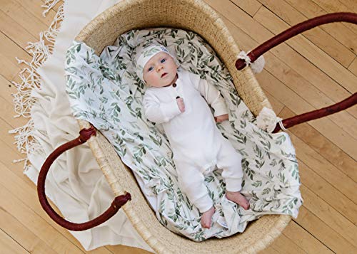 Large Premium Knit Baby Swaddle Receiving Blanket"Fern" by Copper Pearl