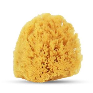 Baby Buddy Natural Yellow Sea Sponge, Baby Bath Sponge, Soft on Tender Skin, Hypoallergenic, Yellow, 4in, 1 Count