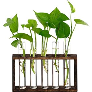 xxxflower wooden stand with 5 test tube propagation station wall hanging glass planter plant terrarium desktop hydroponics, water plants for home office decoration, plant lover gifts