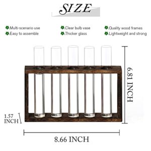 XXXFLOWER Wooden Stand with 5 Test Tube Propagation Station Wall Hanging Glass Planter Plant Terrarium Desktop Hydroponics, Water Plants for Home Office Decoration, Plant Lover Gifts