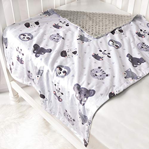 BEILIMU Baby Blanket Super Soft Plush with Double Layer Dotted Backing, Lovely Brown Animals Printed Unisex Design Receiving Blanket, 30x40 Inch