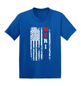 merica usa flag - 4th of july america infant/toddler cotton jersey t-shirt (royal blue, 4t)