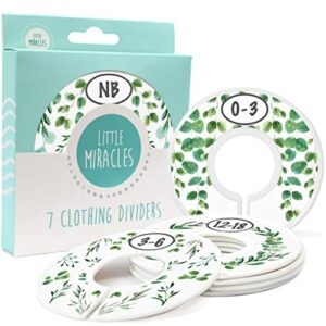 baby closet size dividers - 7x botanical nursery closet dividers for baby clothes - eucalyptus vines leaf plant greenery nursery decor - baby closet dividers for boy or girl - [botanical]