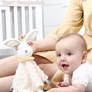 Baby Security Blanket with Tags Soft Plush Stuffed Animal Toys Lovey Soothing Sensory Toy Cute Minky Dot Fabric Cuddle Snuggle Blanket - White Bunny