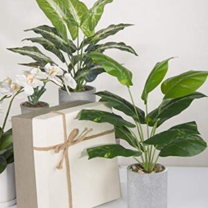 JC nateva 16" Small Fake Plants Artificial Potted Faux Plants for Office Desk Shelf Bathroom Home Decor