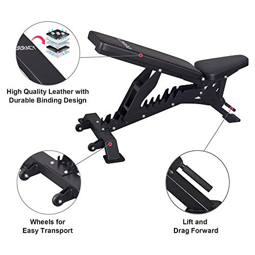 DERACY Deluxe Adjustable Weight Bench for Full Body Workout, Weight Capacity 1100 lbs, Incline and Flat Weight Bench for Indoor Workout, Home Gym