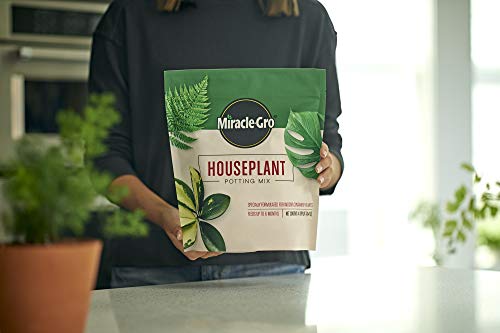 Miracle-Gro Houseplant Potting Mix: Fertilized, Perlite Soil for Indoor Gardening, Designed to Be Less Prone to Gnats, 4 qt.