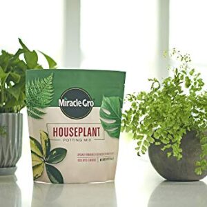 Miracle-Gro Houseplant Potting Mix: Fertilized, Perlite Soil for Indoor Gardening, Designed to Be Less Prone to Gnats, 4 qt.