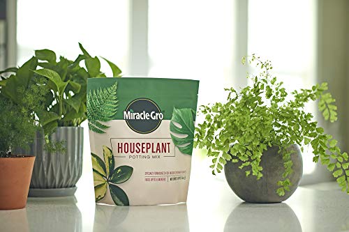 Miracle-Gro Houseplant Potting Mix: Fertilized, Perlite Soil for Indoor Gardening, Designed to Be Less Prone to Gnats, 4 qt.