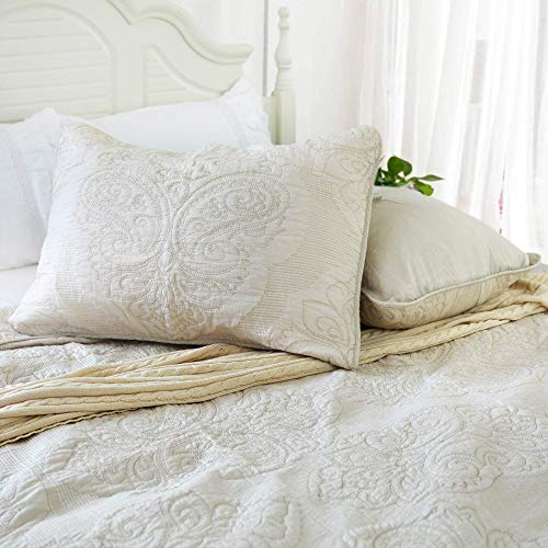 Brandream 4-Piece Beige Vintage Paisley Quilted Comforter Set Queen Size Bed Quilt Set Cotton Lightweight