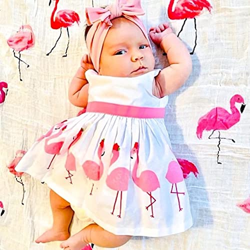 LollyBanks Swaddle Blanket | 100% Muslin Cotton | Newborn and Baby Nursery Essentials for Girls, Registry | Flamingo and Flower 3 Pack