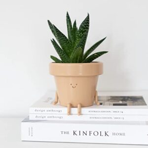 Sitting Indoor Plant Pot, Unique Cute Plastic Flower Pot with Face, 3.5 Inch Succulent/Cactus Gift Planter with Drainage Hole, Decorative Plant Pot, Novelty Planter (1x Sitting Pot)