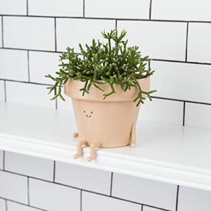 Sitting Indoor Plant Pot, Unique Cute Plastic Flower Pot with Face, 3.5 Inch Succulent/Cactus Gift Planter with Drainage Hole, Decorative Plant Pot, Novelty Planter (1x Sitting Pot)