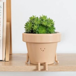 Sitting Indoor Plant Pot, Unique Cute Plastic Flower Pot with Face, 3.5 Inch Succulent/Cactus Gift Planter with Drainage Hole, Decorative Plant Pot, Novelty Planter (1x Sitting Pot)