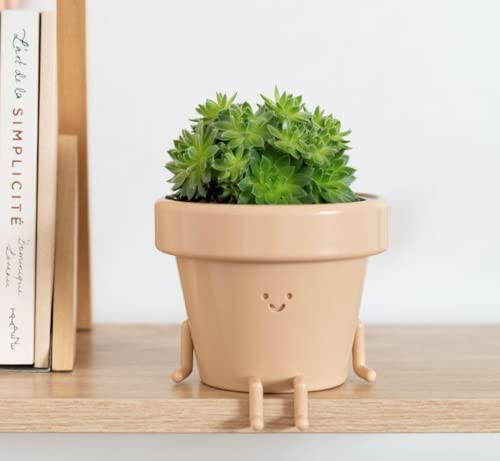 Sitting Indoor Plant Pot, Unique Cute Plastic Flower Pot with Face, 3.5 Inch Succulent/Cactus Gift Planter with Drainage Hole, Decorative Plant Pot, Novelty Planter (1x Sitting Pot)