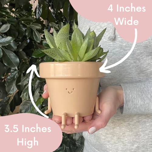 Sitting Indoor Plant Pot, Unique Cute Plastic Flower Pot with Face, 3.5 Inch Succulent/Cactus Gift Planter with Drainage Hole, Decorative Plant Pot, Novelty Planter (1x Sitting Pot)