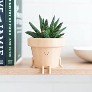 Sitting Indoor Plant Pot, Unique Cute Plastic Flower Pot with Face, 3.5 Inch Succulent/Cactus Gift Planter with Drainage Hole, Decorative Plant Pot, Novelty Planter (1x Sitting Pot)