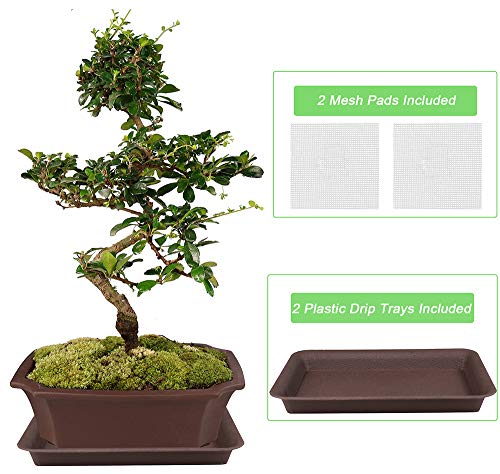 MUZHI 2 Pack 8" Unglazed Ceramic Bonsai Tree Pot Training Planter with Drainage Wiring Hole, Breathable Handmade Zisha Pottery Growing Plant Pot with Mesh Drip Tray Indoor Outdoor