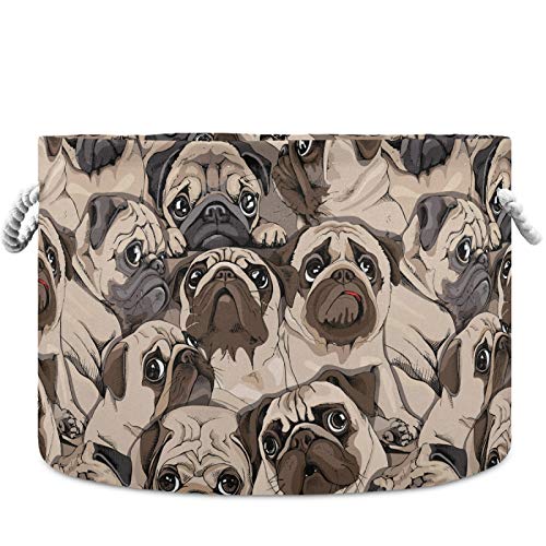 MNSRUU Storage Basket 20"x14" Vintage Cute Pug Dogs Collapsible Organizer Basket with Handles, Fabric Nursery Laundry Basket Large Capacity