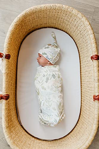 Large Premium Knit Baby Swaddle Receiving Blanket"Rex" by Copper Pearl