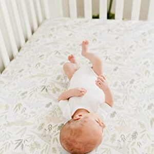 Premium Fitted Knit Crib Sheet/Toddler Sheet Rex by Copper Pearl