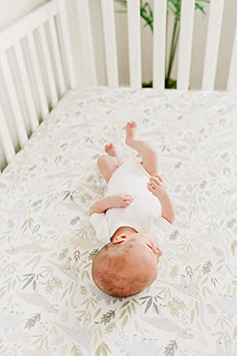 Premium Fitted Knit Crib Sheet/Toddler Sheet Rex by Copper Pearl