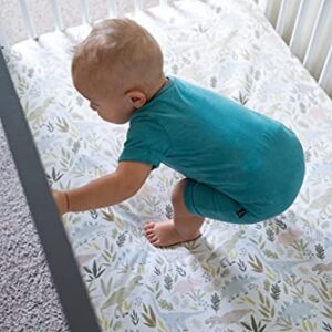 Premium Fitted Knit Crib Sheet/Toddler Sheet Rex by Copper Pearl