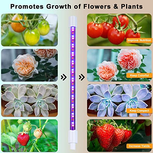 SUWITU Grow Lights for Indoor Plants, 6000K 144 LEDs Clip on Grow Light Plant Growing Lamps for Succulents, Valentines Day Gifts for Plant Lovers, Auto 3/9/12H Timer, 3 Switch Modes,10-Level Dimmable