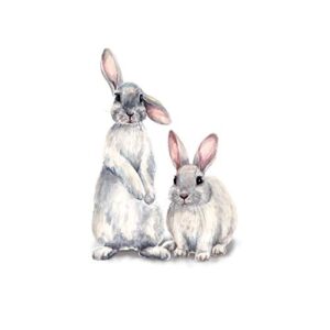 amoda cartoon lovely cute two bunnies rabbits animal 3d vinyl wall stickers waterproof removable murals for kids room bedroom playroom living room